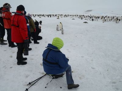 Polarreisende beobachten die Kaiserpinguinkolonie auf Snow Hill Island, Weddellmeer. (© James Cressw