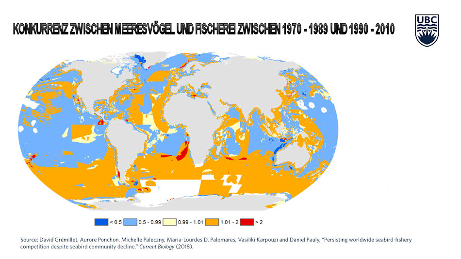 Die von den Forschern erstellte Karte zeigt klar, dass in den vergangenen 40 Jahren die Konkurrenz zwischen Fischerei und Vogelarten massiv angestiegen ist. Besonders im SÃ¼dpolarmeer ist der Druck grÃ¶sser geworden (orange, rot). Bild: GrÃ©millet et al. (2018) Current Biology