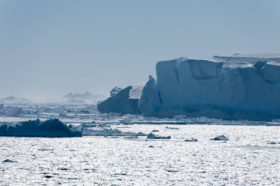Das Weddellmeer ist ein Rückzugsort für kälteliebende Arten. (Foto: Vreni Gerber)