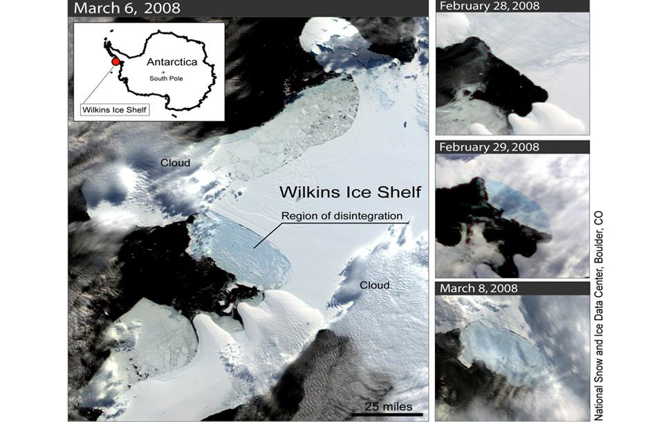 Die massiven Abbrüche im Wilkins Ice Shelf sind höchstwahrscheinlich auf die Wassererwärmung bei der Antarktischen Halbinsel zurückzuführen.
