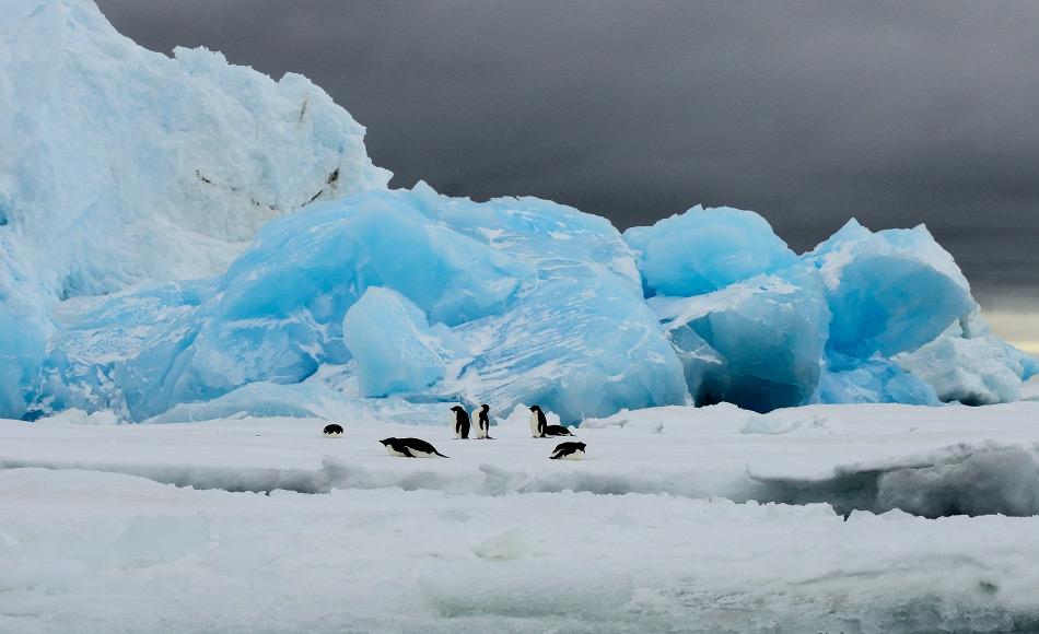 Die Antarktis zieht jedes Jahr Ã¼ber 35â000 Besucher aus aller Welt in ihren Bann. Die meisten Touristen reisen per Schiff zur antarktischen Halbinsel, um Pinguin & Co. bewundern zu kÃ¶nnen. Bild: Michael Wenger