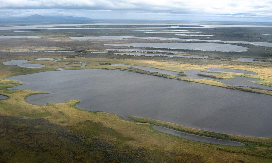 Eine Luftaufnahme mehrerer Thermokarst-Seen in der sibirischen Kolyma-Region. Die flachen Permafrost-Regionen im Hohen Norden sind heutzutage Ã¼bersÃ¤ht mit Hunderttausenden Thermokarst-Seen und -becken. Sie entstanden vor allem in der Ãbergangszeit vom PleistozÃ¤n ins HolozÃ¤n und dem anschliessenden HolozÃ¤n-WÃ¤rmemaximum in vielen Teilen der Arktis. Foto: Guido Grosse, AWI