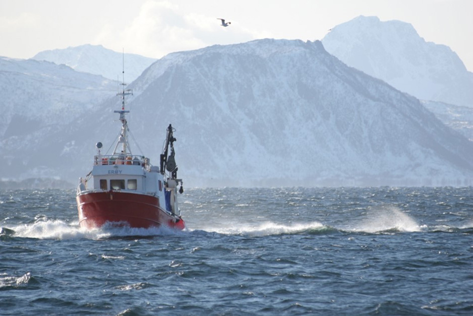 Bisher war Fischerei in der Arktis vor allem auf KÃ¼stengebiete beschrÃ¤nkt. NÃ¤hrstoffreiches Wasser entlang der KÃ¼ste machte das Fischen fÃ¼r Kleine Fangschiffe lukrativ. Doch mit der steigenden globalen Nachfrage nach Fisch, mussten neue Fanggebiete auf dem offenen Meer ausgebeutet werden. Bild: NOFIMA